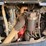 2019-sky-trak-6036-image-34