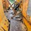 allis-chalmers-6g-image-31