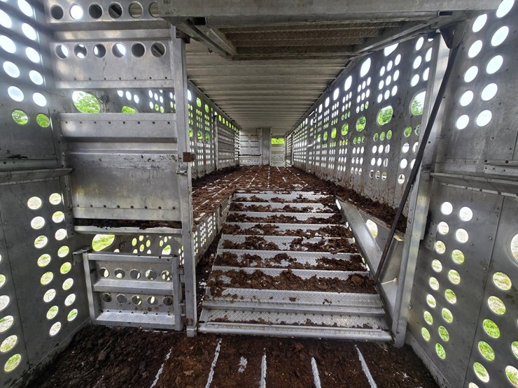 2008-merritt-livestock-image-33