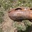 #462-•-20'-tandem-axle-trailer-(no-title)-(spring-brook,-wi)-image-10