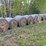 #252-•-(10)-2025-net-wrapped-grass-hay-bales-(stone-lake,-wi)-image-6