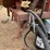 #210-•-pk-3-point-boom-sprayer-(ringle,-wi)-image-13