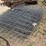 #5480-•-pig-fencing-image-5