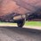 #330-•-1958-chevy-80-(howe)-fire-truck-(no-brakes)-(has-mi.-title)-(wakefield,-mi)-image-25