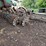 #5451-•-glencoe/homemade-vertical-till-image-8