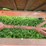 #224-•-gravity-box-on-running-gear-(ringle,-wi)-image-11