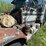 travis-]-image-20