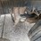 2016-volvo-vhd104b200-image-38