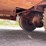 #330-•-1958-chevy-80-(howe)-fire-truck-(no-brakes)-(has-mi.-title)-(wakefield,-mi)-image-42