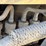 2005-bobcat-t180-image-42
