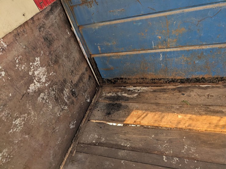 #5497-•-cattle/calf-trailer-image-10