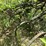 international-8-image-13