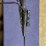 #52-•-mossberg-100-atr-270-win-image-1