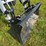 2021-bobcat-ct5558-image-87