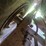 great-dane-reefer-image-41