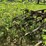 international-8-image-12