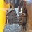 2018-jcb-510-56-image-25