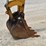 2019-caterpillar-305e2-cr-image-9
