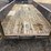 #588-•-texas-bragg-heavy-duty-bumper-pull-trailer---somerville,-tn-image-5