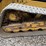 2019-caterpillar-299d3-image-13