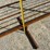 cattle-gate-24ft.-long-x-68in.-tall-w/gate-5149-image-5