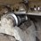 2018-doosan-dx300-ll-5-image-16
