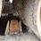 2018-caterpillar-289d-image-19