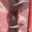 l3---transfer-grain-auger-image-7