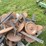 pallet-of-steel-closing-wheels-off-jd-750-drill-image-3