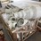 miscellaneous-different-size-pvc-fittings-image-3