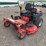gravely-260z-image-1