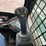 2019-bobcat-t770-image-21