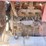 2003-asphalt-zipper-az360-image-10