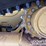 2022-caterpillar-259d3-image-10