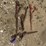 sl--(4)-boomers-image-1