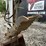 takeuchi-tb135-image-9