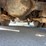 2001-kenworth-t300-image-28