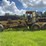 caterpillar-120-image-2
