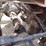 2016-mack-cxu613-t/a-hiway-tractor---sleeper---1m1-image-74