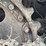 caterpillar-d5-image-9