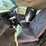 1999-dodge-dakota-sport-image-20