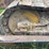 caterpillar-d5-image-7