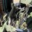 cummins-4bt-image-39