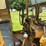 caterpillar-120-image-8