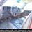 2003-chevrolet-3500-image-2