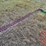 john-deere-38-image-5