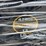 2026-sdlanch-cd25-crawler-dumper,-serial-number-2512350928-image-17