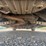 2019-chevrolet-malibu-4-door-sedan-(140,696-miles)-image-7