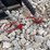 hydraulic-skid-steer-snow-blade-attachment-image-3