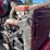 2016-peterbilt-365-image-22